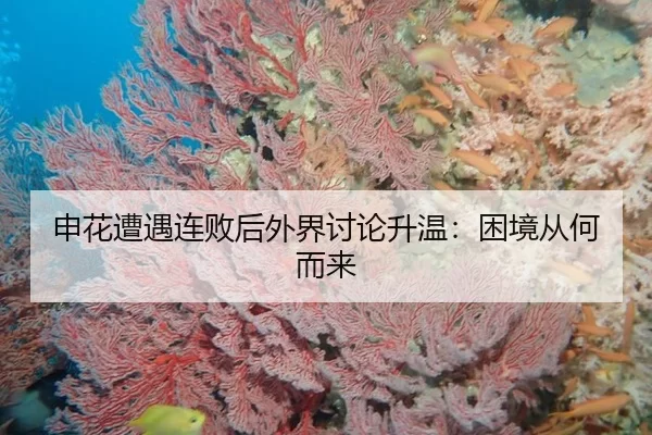 申花遭遇连败后外界讨论升温：困境从何而来